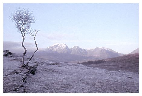 [Blaven Clach Glas Ridge, Isle of Skye (24KB)]