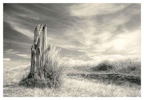  Uists Stump (29KB) 